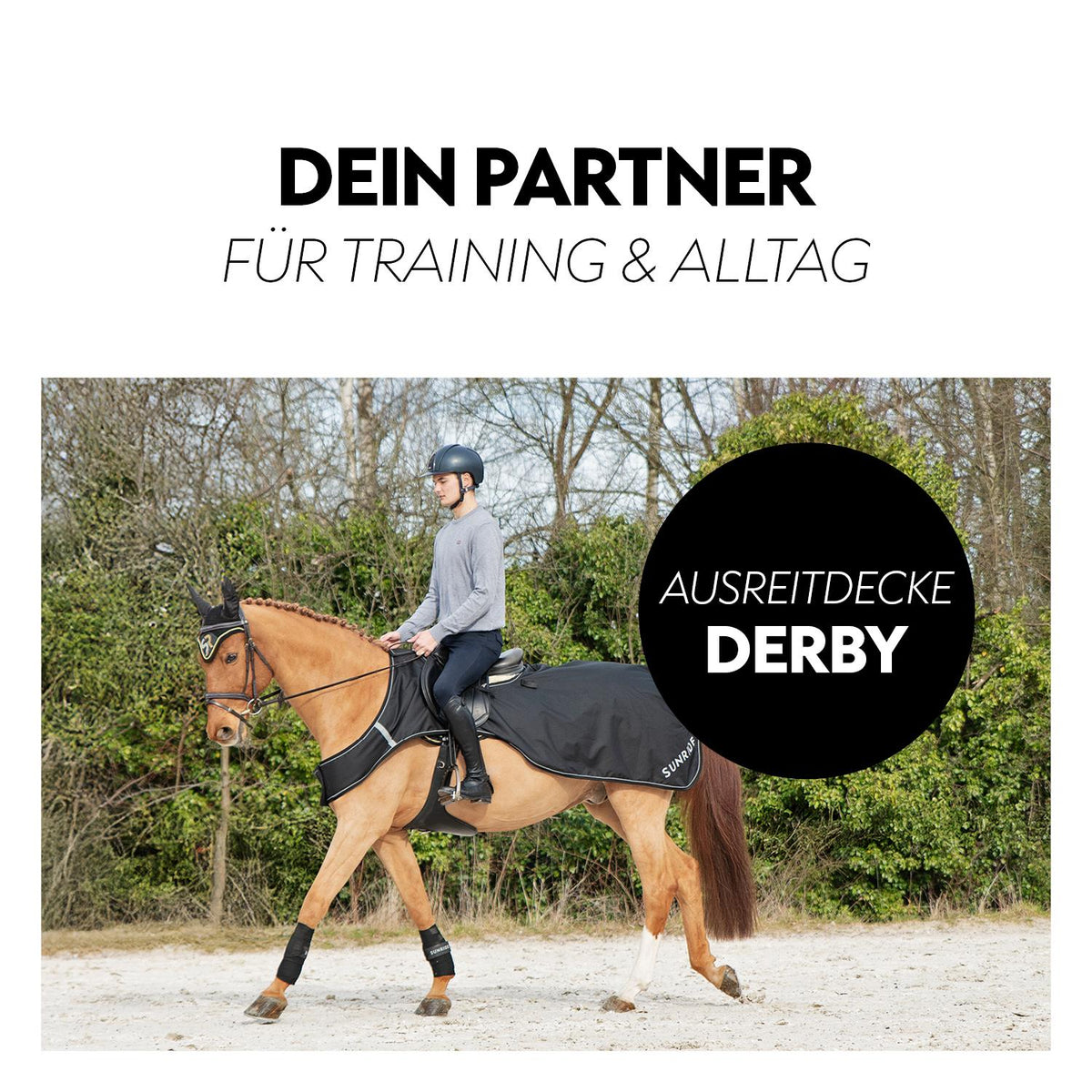 Exercise Sheet / Walking Rug 0g "Derby" (600D)