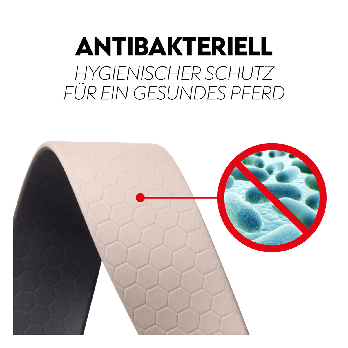 Biothane lungein-rein (8m)