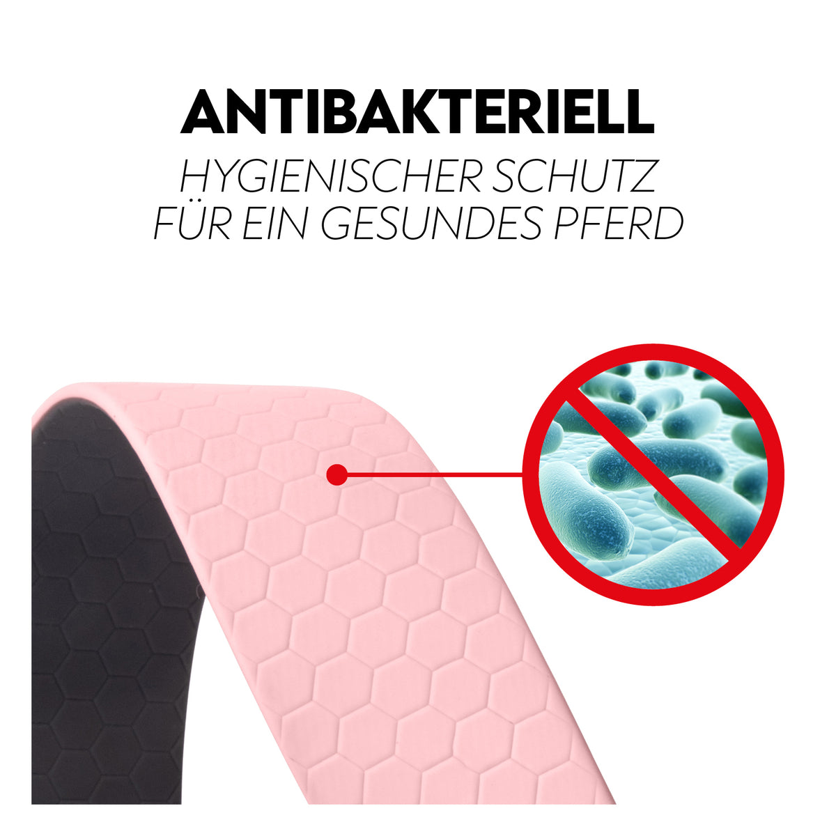 Biothane lungein-rein (8m)