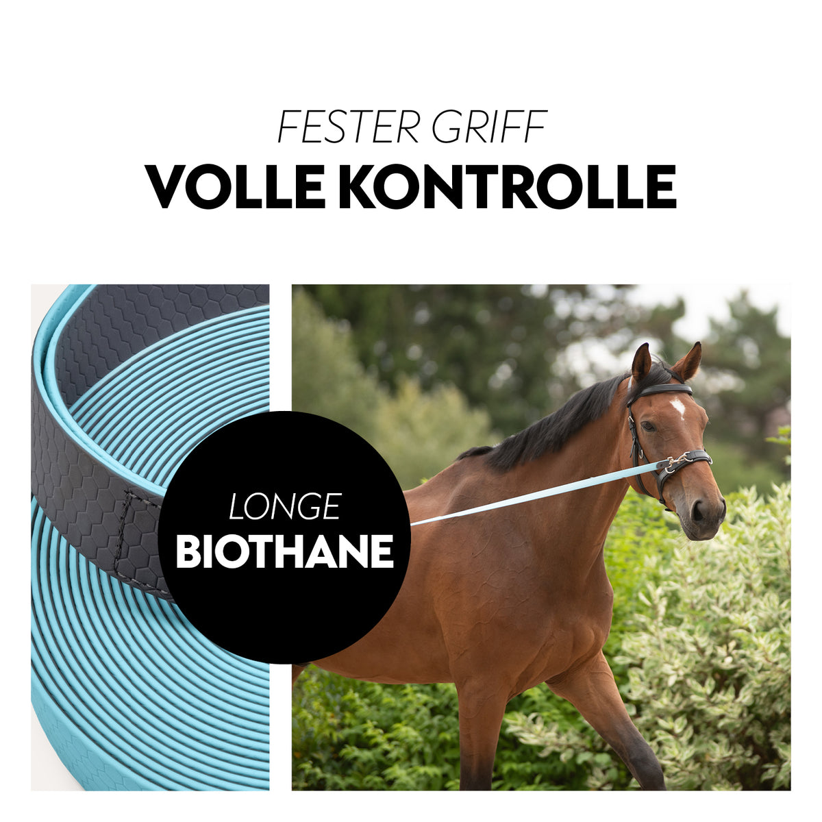Biothane lungein-rein (8m)