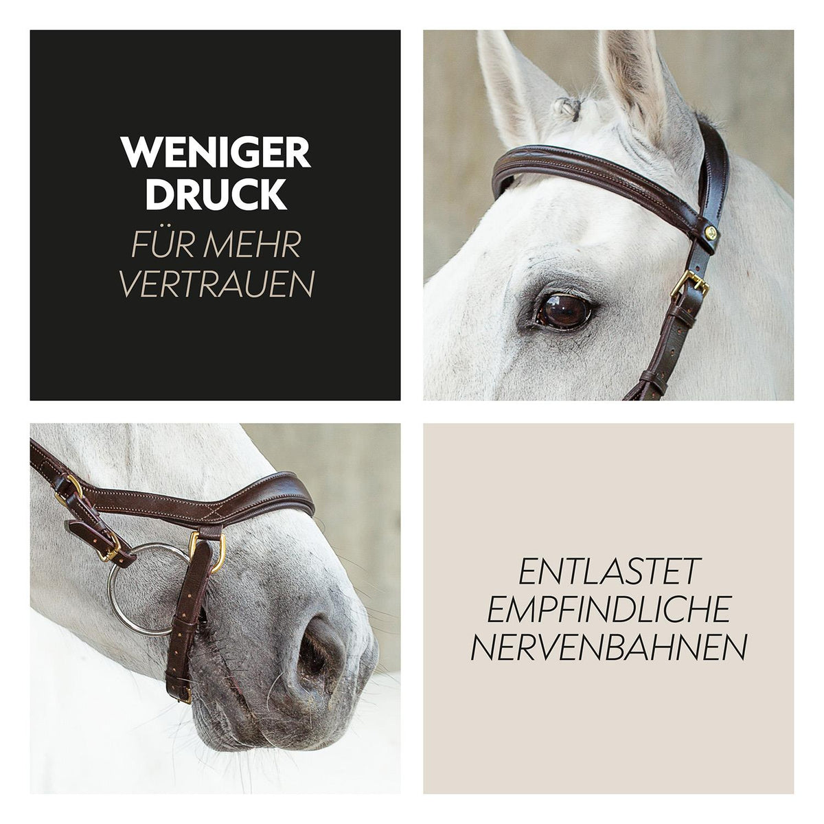 English combined bridle "York" with reins