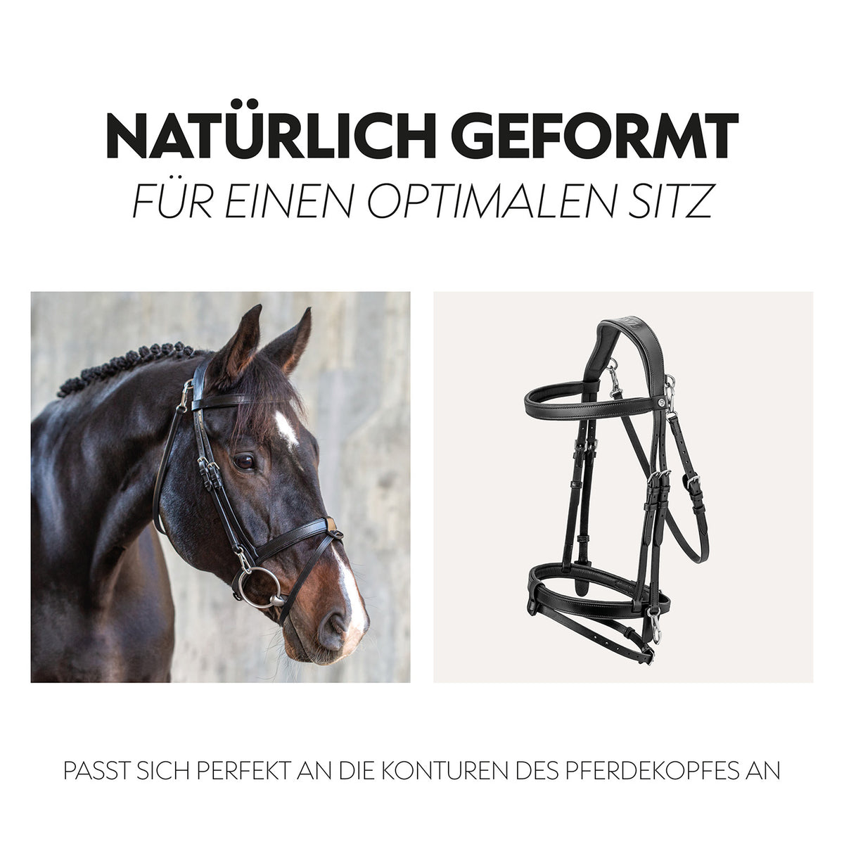 English combined bridle "Berlin" with reins