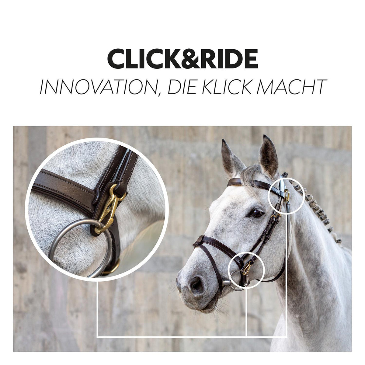 English combined bridle "Berlin" with reins