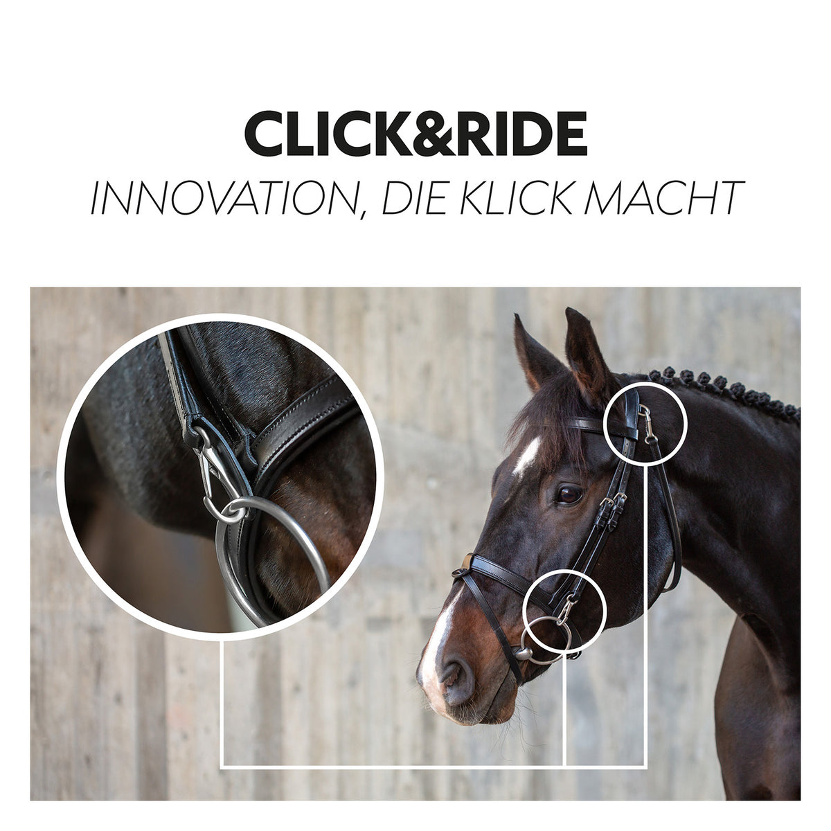 English combined bridle "Berlin" with reins
