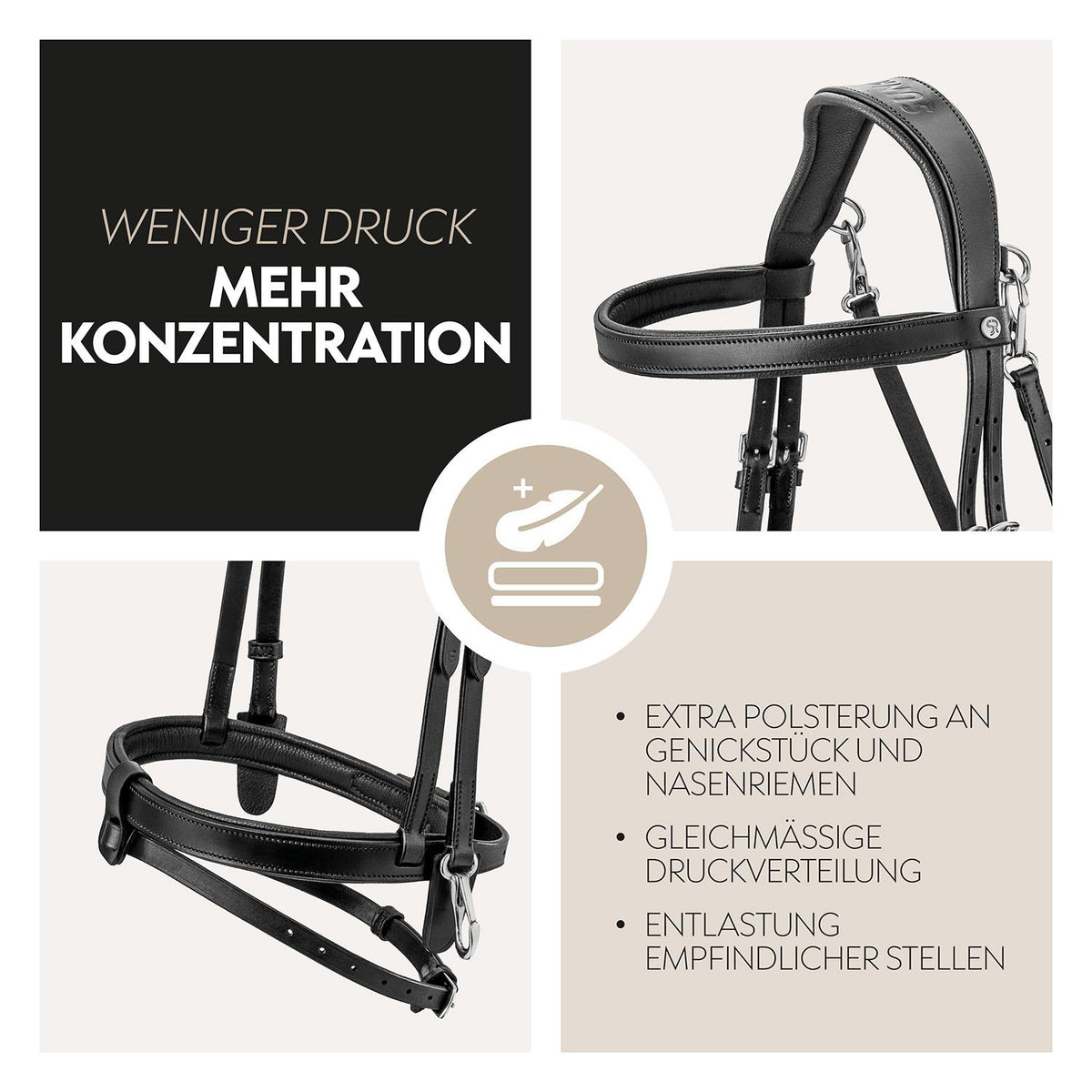 English combined bridle "Berlin" with reins