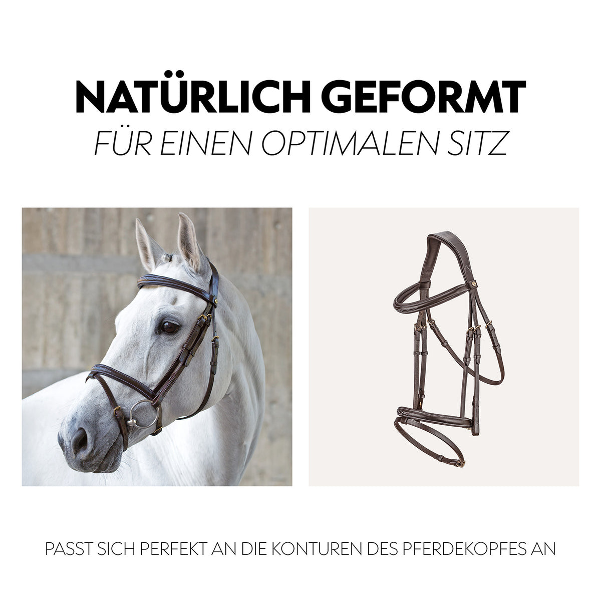 English combined bridle "London" with reins