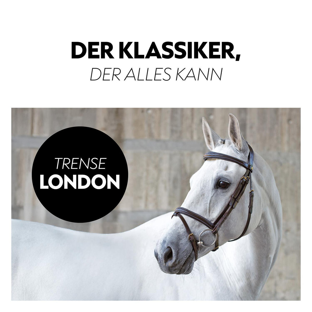 English combined bridle "London" with reins