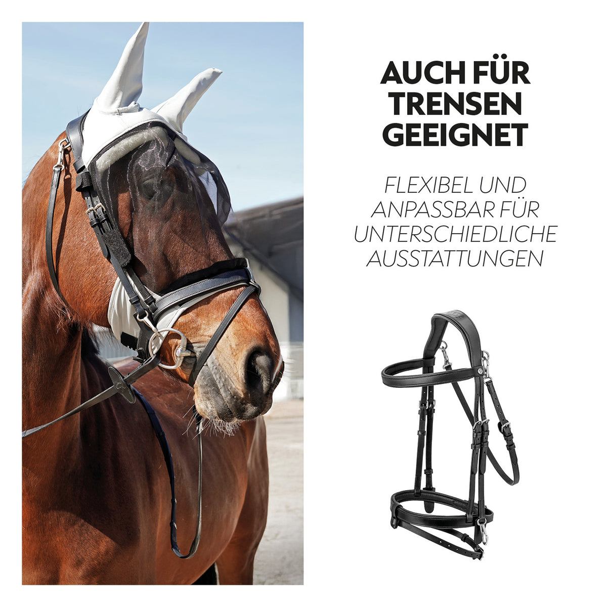 Fly mask with halter "Dubai"