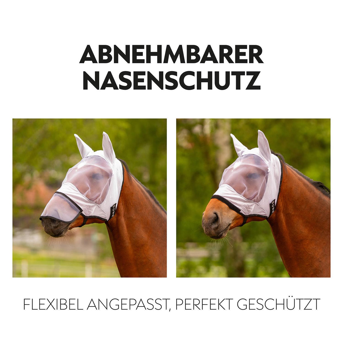 Fly Mask "Miami"
