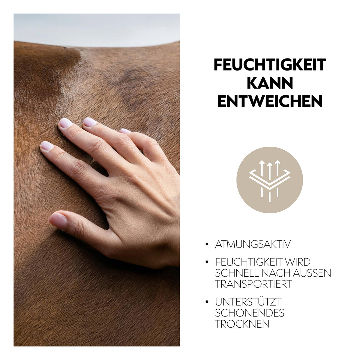 Absorbent terry cloth blanket “EquiTowel”