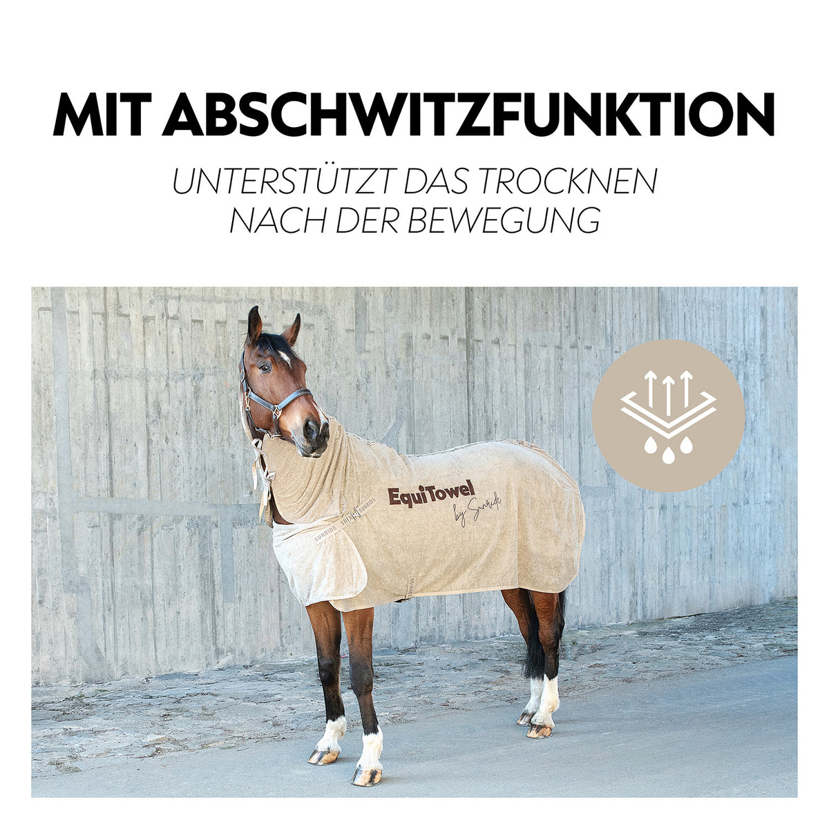 Absorbent terry cloth blanket “EquiTowel”