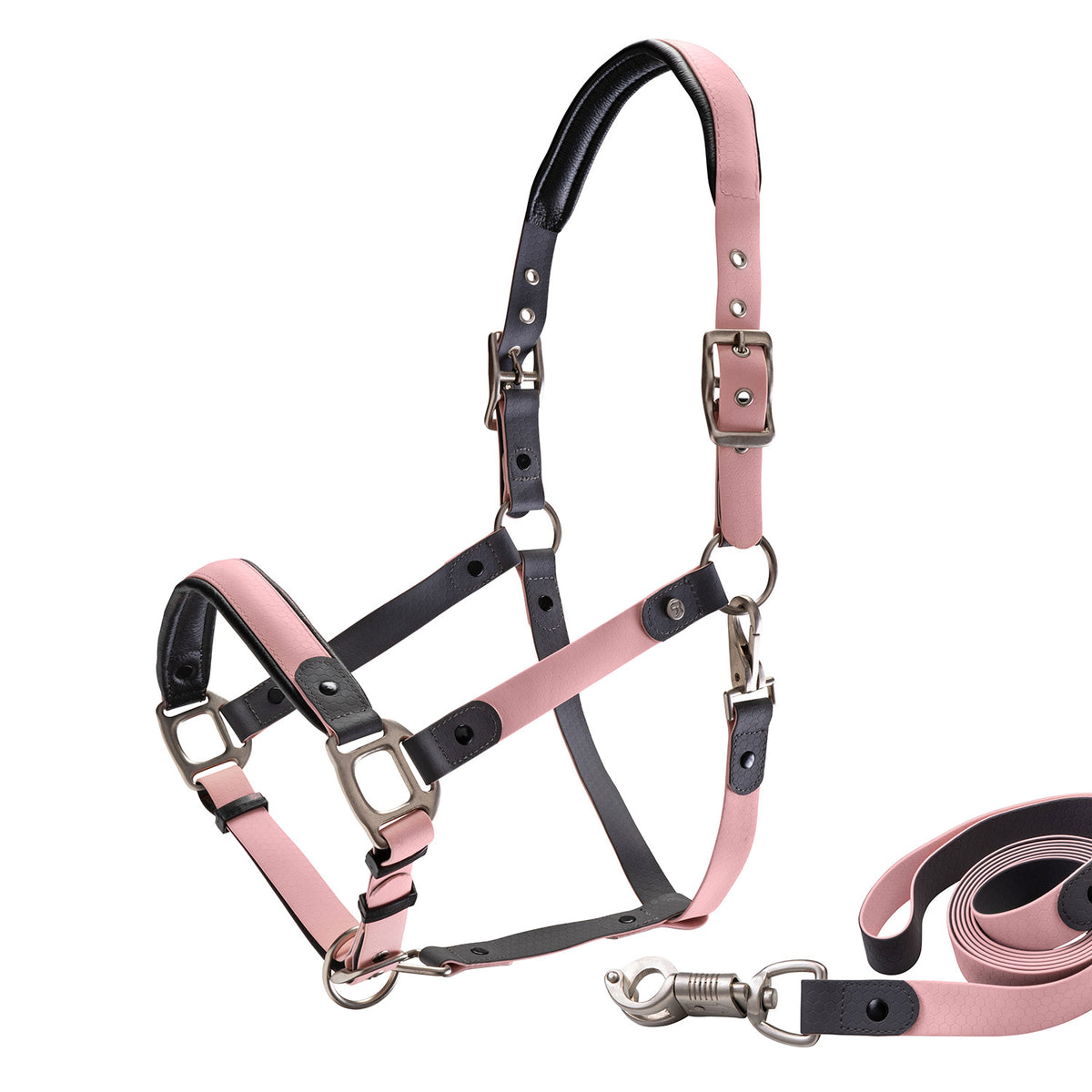 Biothane halter with lead rope