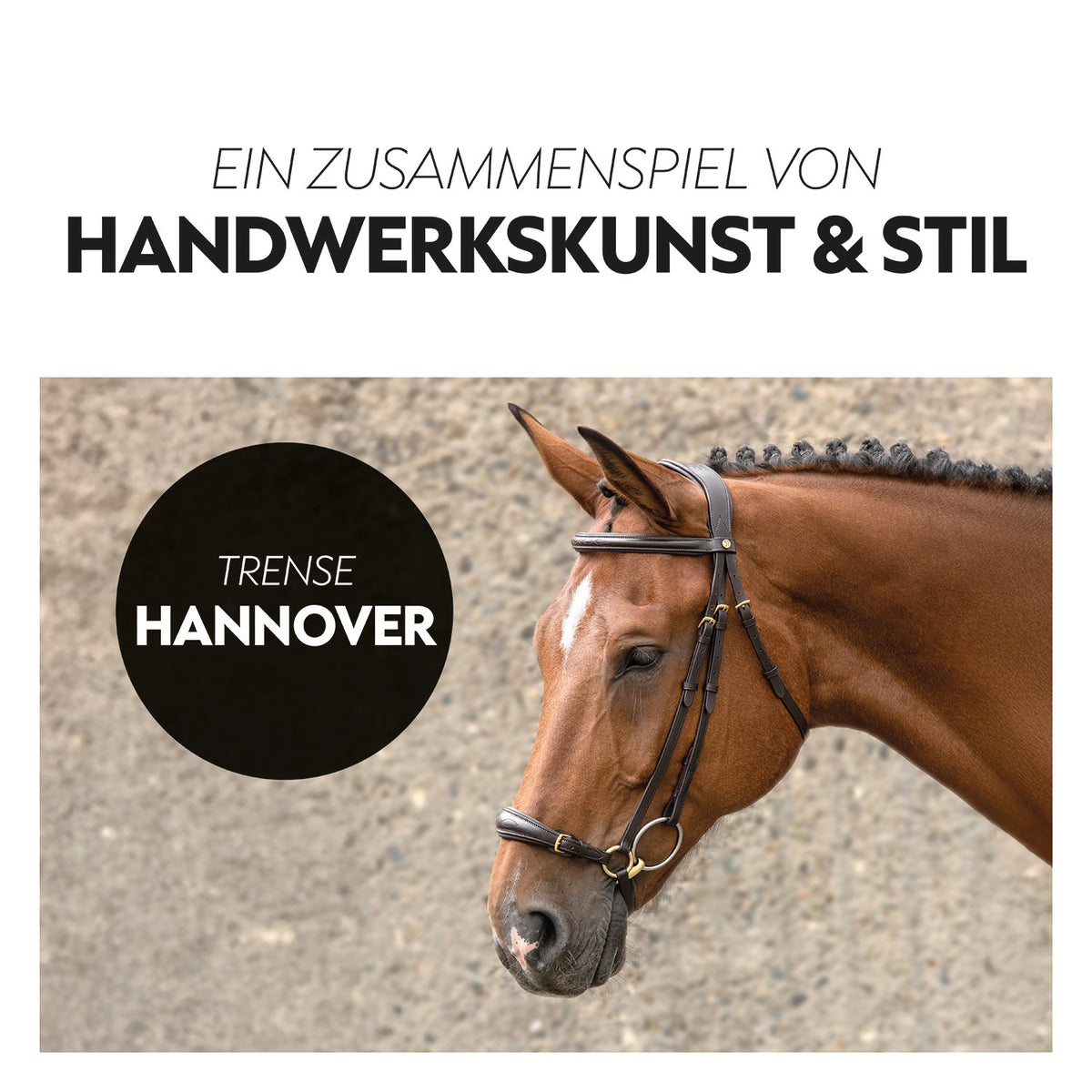 Hanoverian bridle "Hannover" with reins