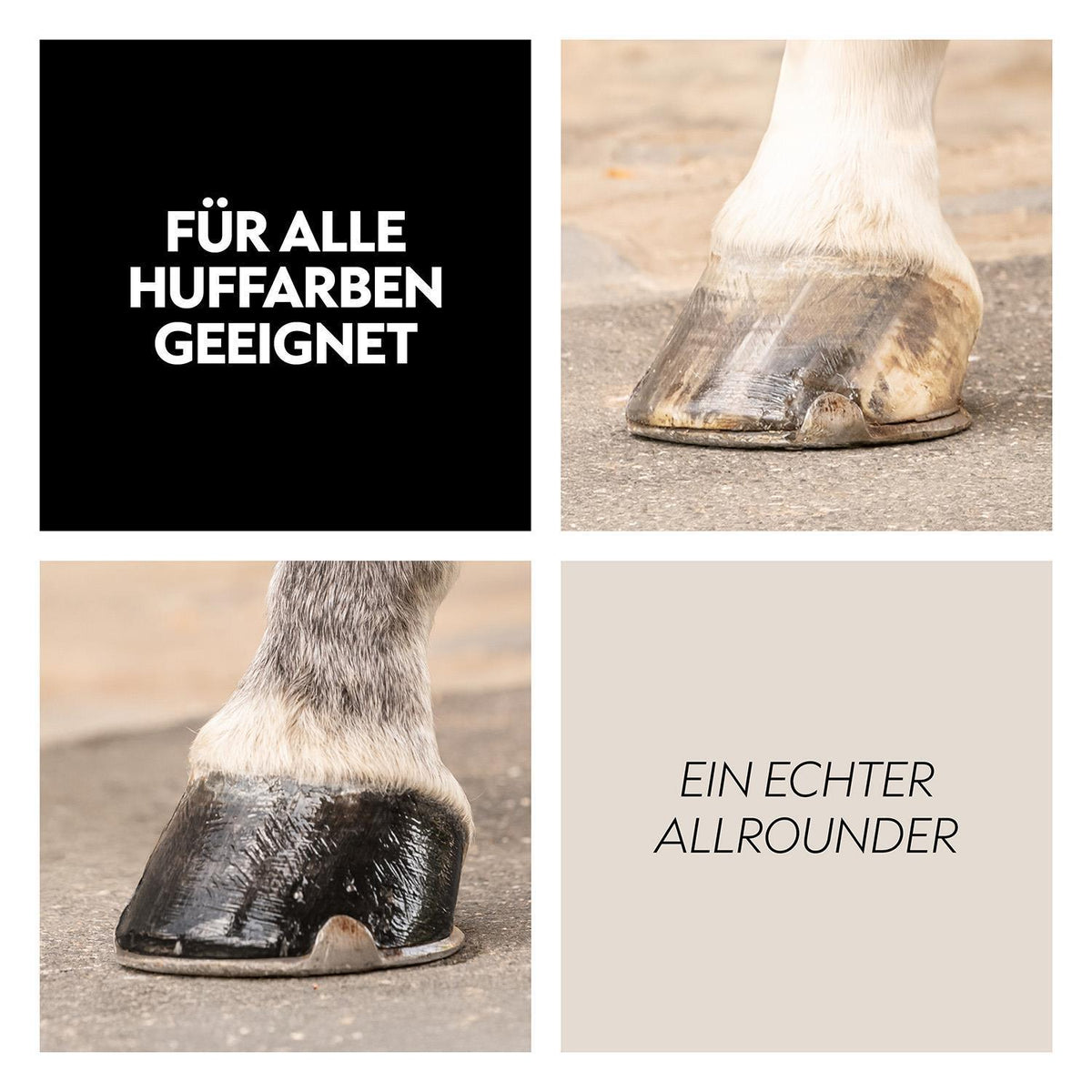 Hoof oil and Shampoo set (20ml)