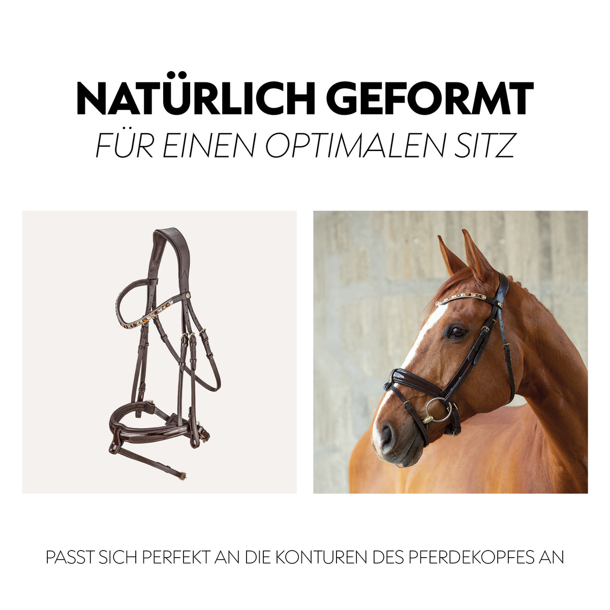 Swedish bridle "Aspen" with reins