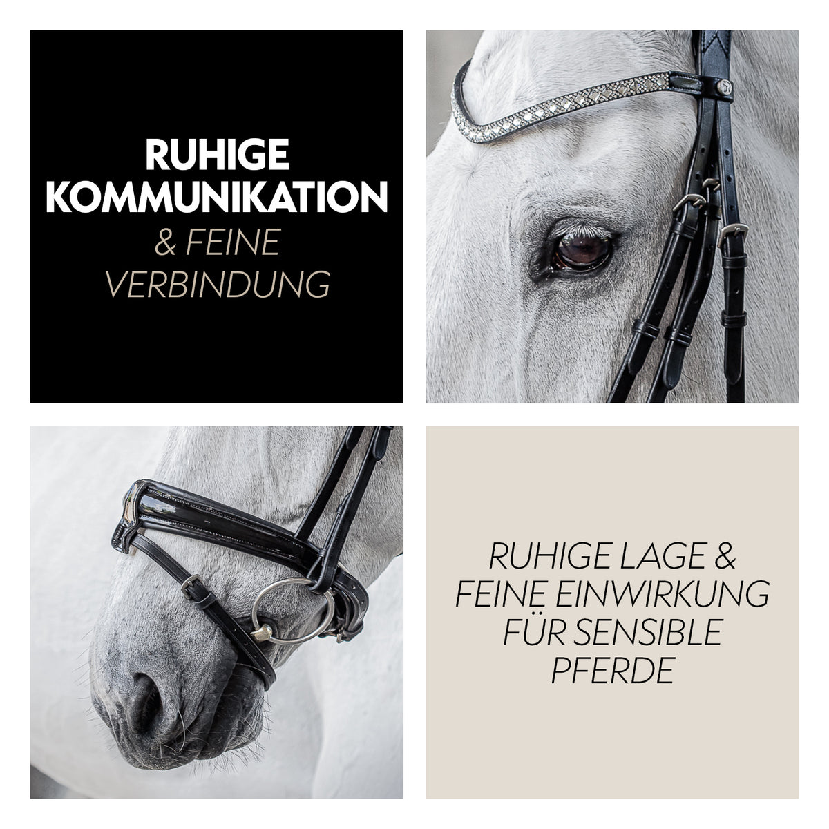 Swedish bridle "Aspen" with reins