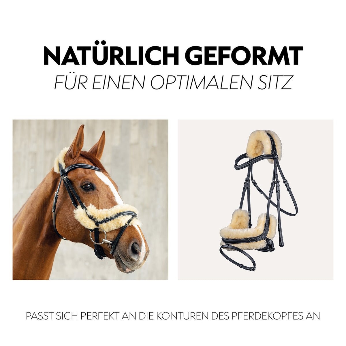 Swedish bridle "Oxford" with reins