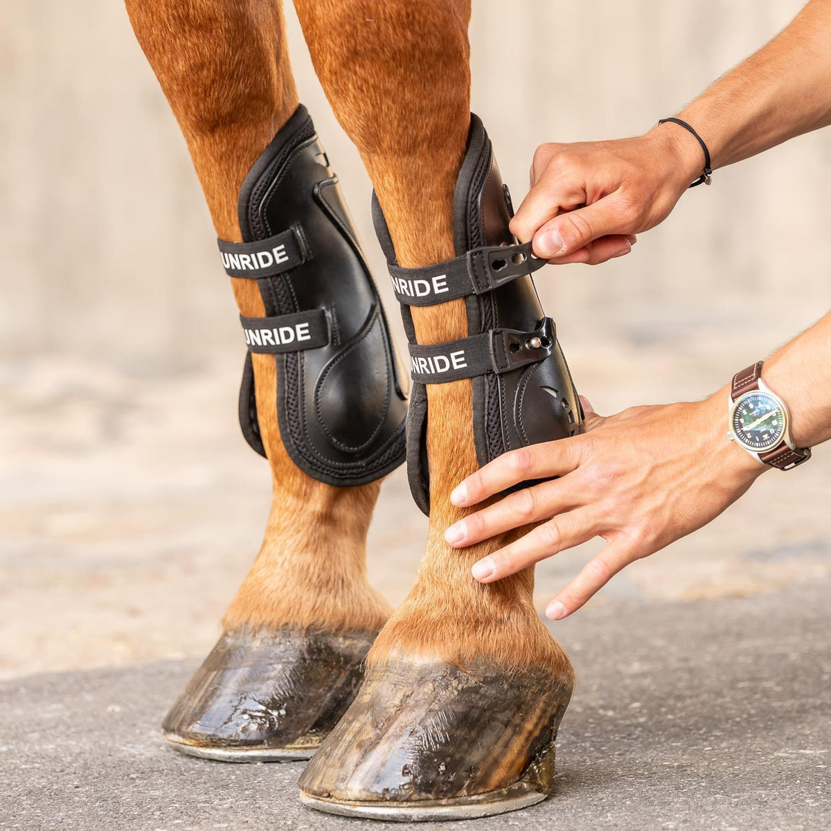 Leather jumping boots with fetlock boots (double Velcro, set of 4)
