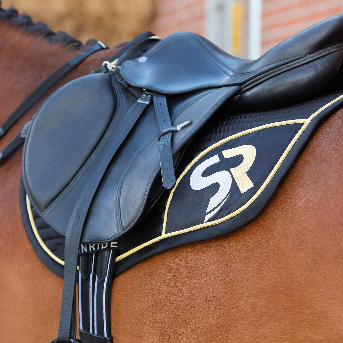 Saddle Pad Jumping with Ear Net "Exclusive Line"