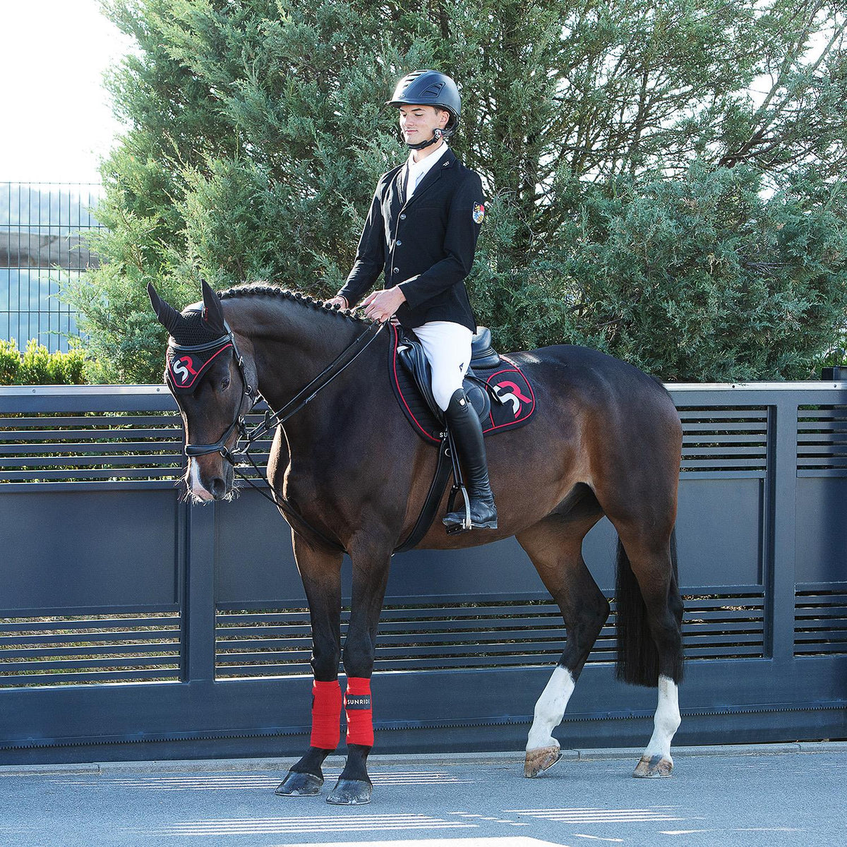 Draw Reins