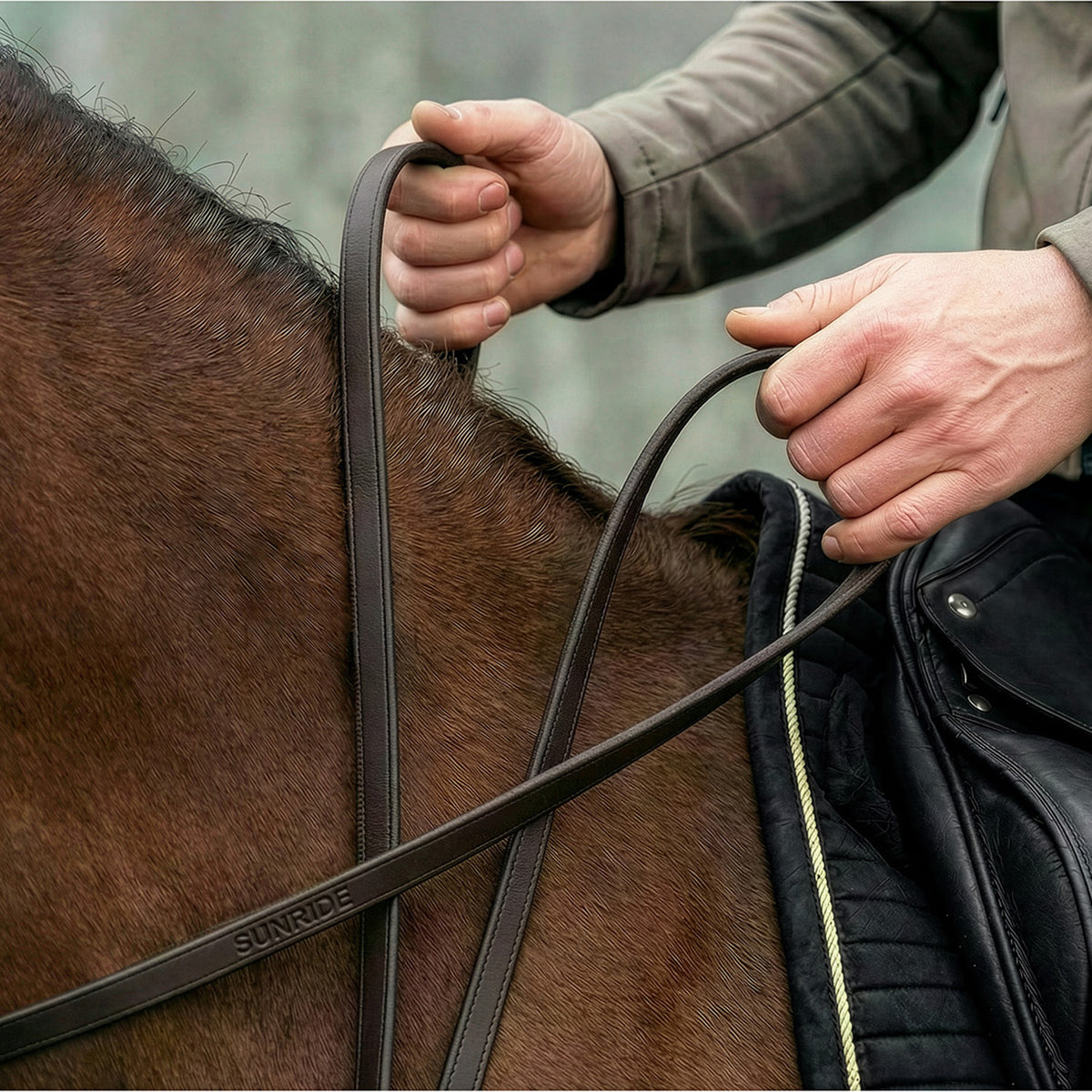 Leather reins without bars