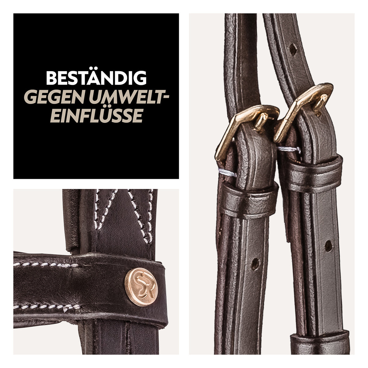 English combined bridle "London" with reins