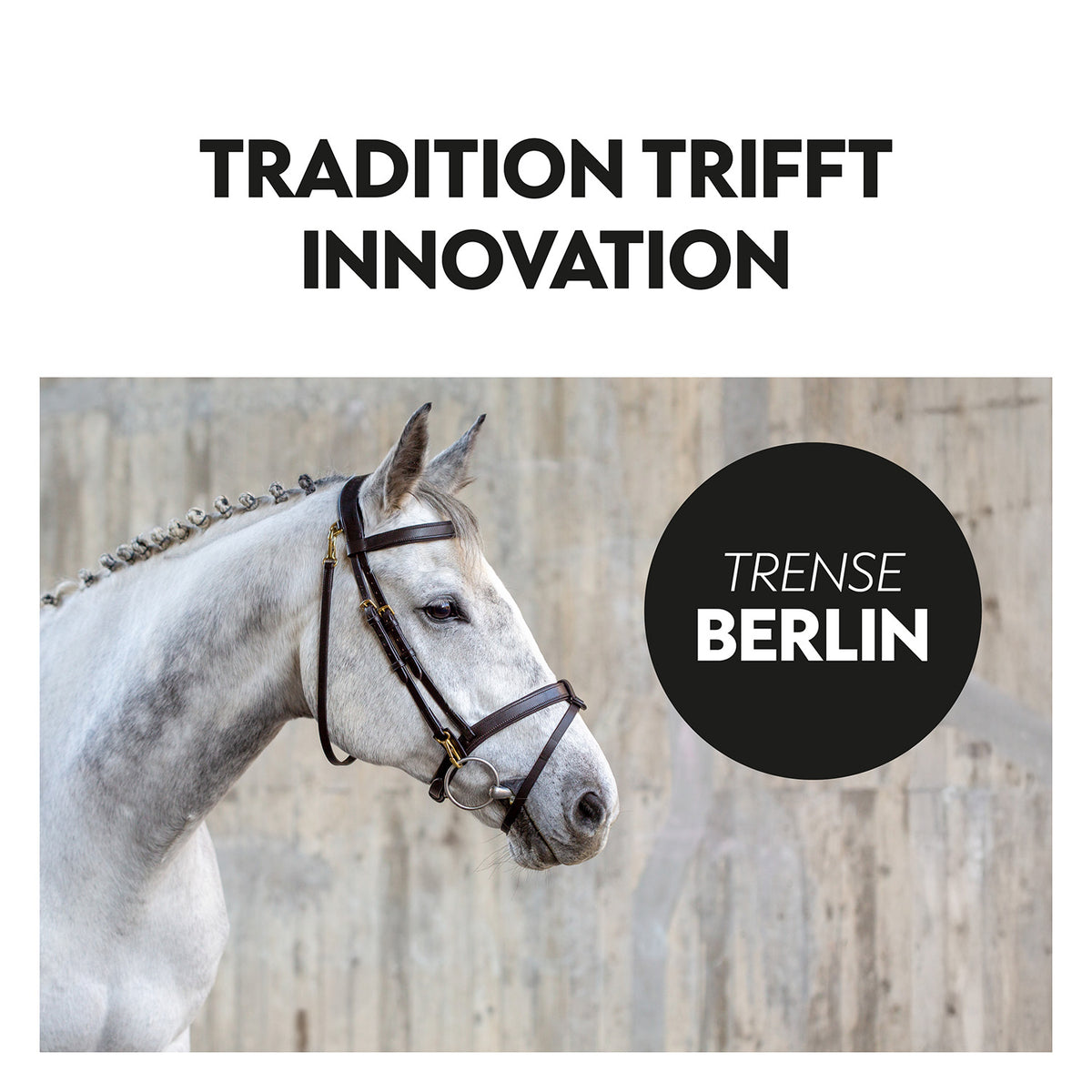 English combined bridle "Berlin" with reins