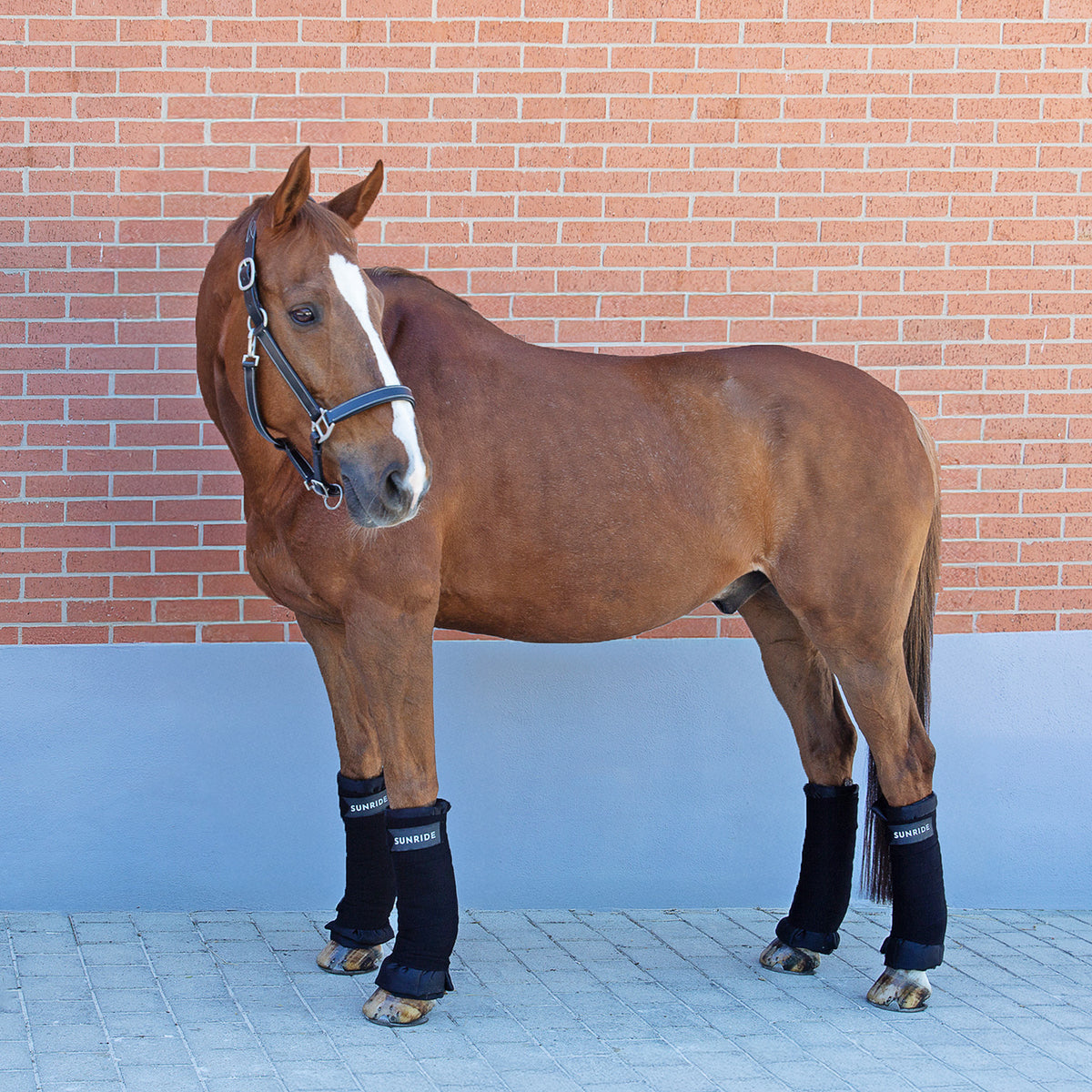 Stable bandages (set of 4)