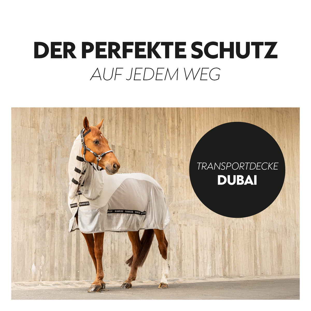 Fly Rug with removable Neck Part "Dubai"