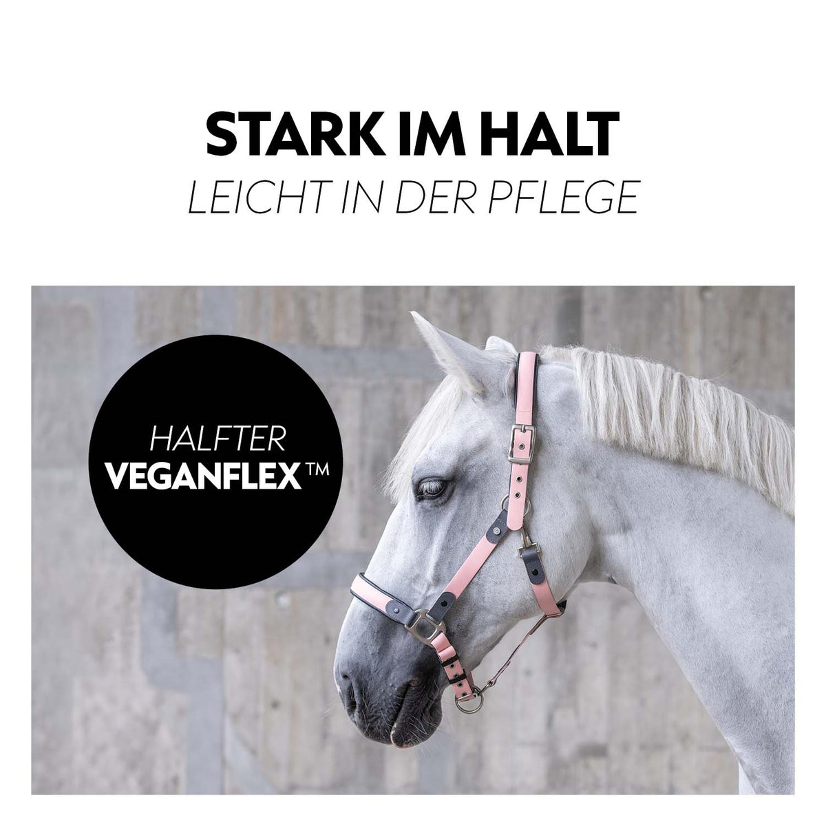 VeganFlex™ Halfter mit Strick