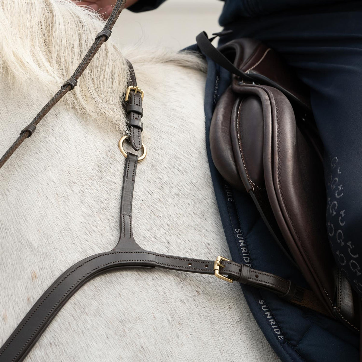 Breastplate "Ascot" with martingale usable as 3-point and 5-point