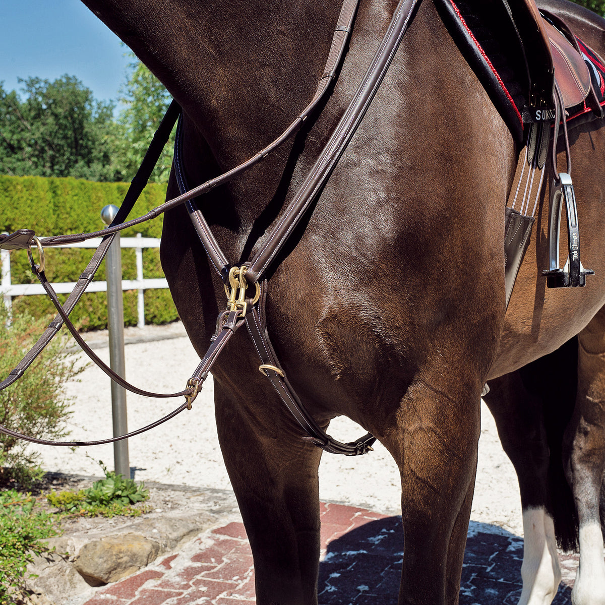 Breastplate "Windsor" with martingale