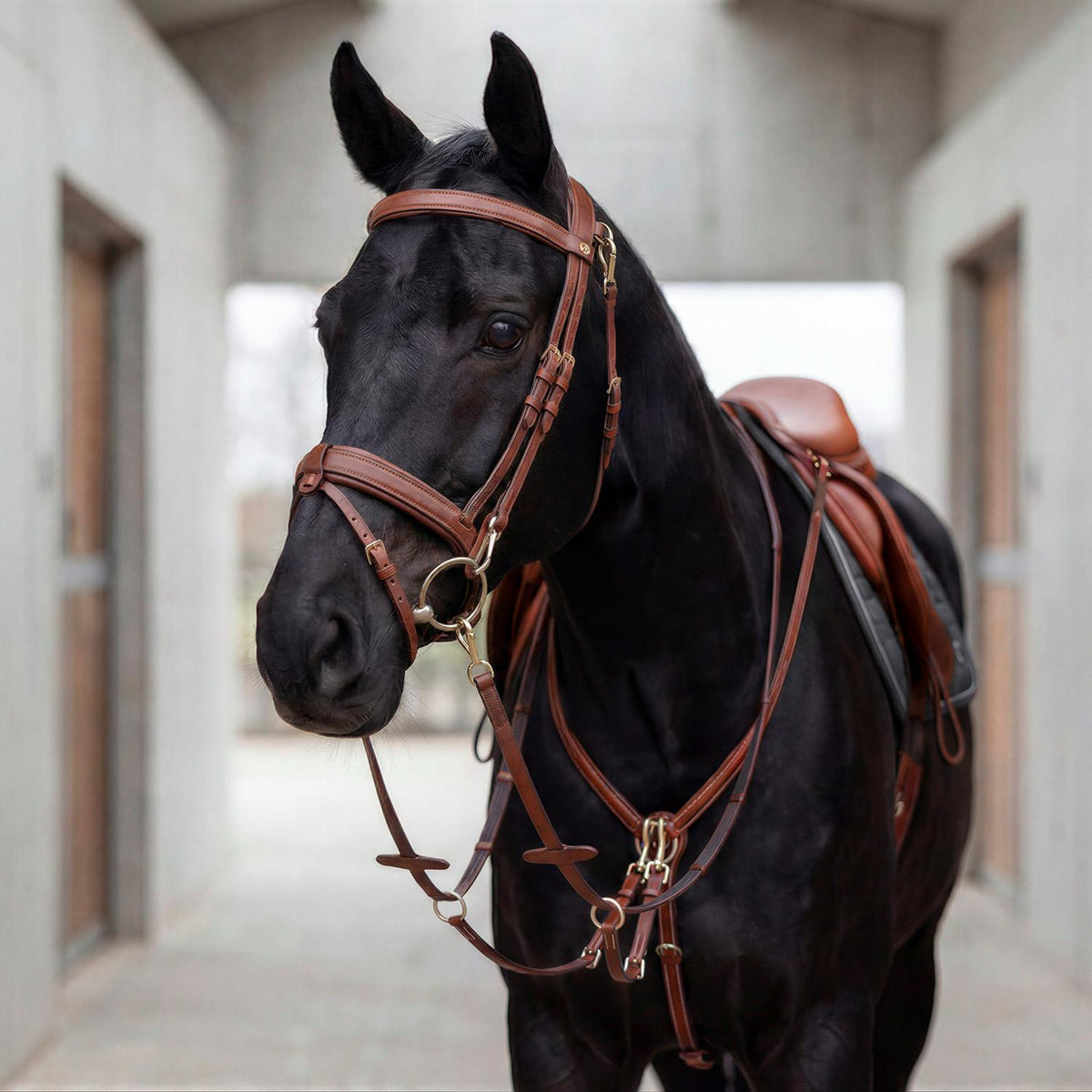 Breastplate "Windsor" with martingale