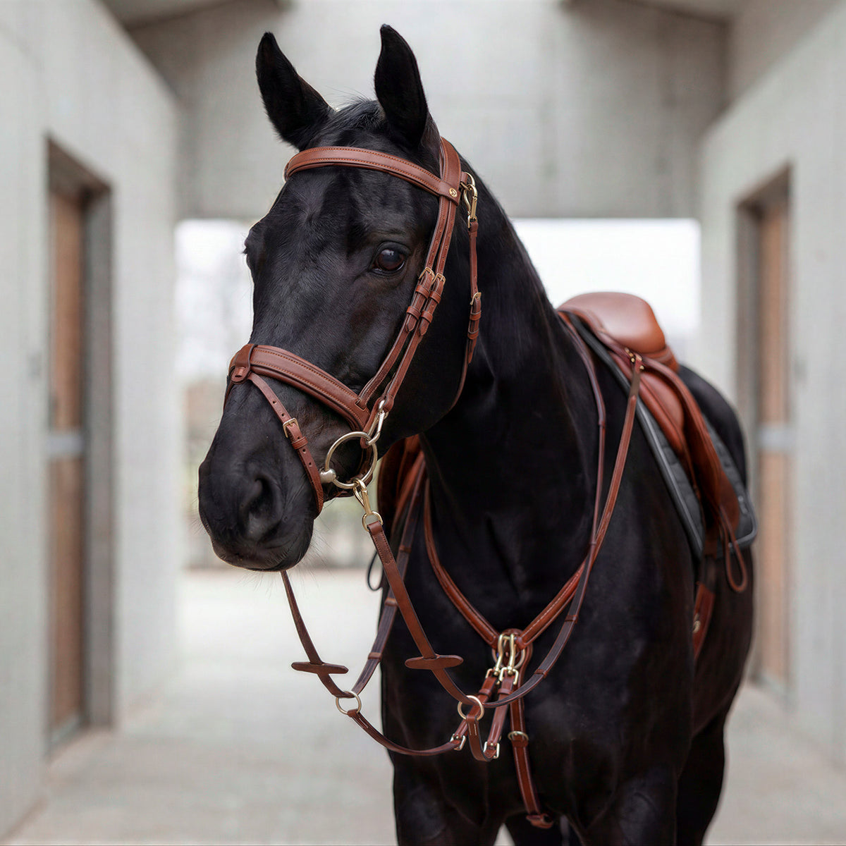 Breastplate "Windsor" with martingale
