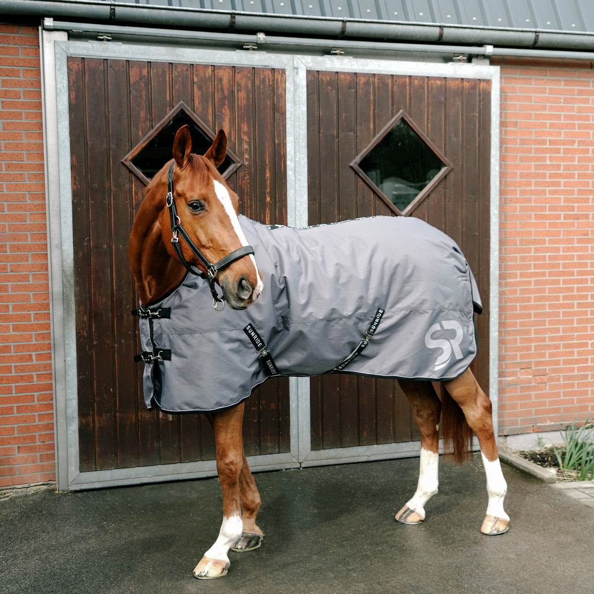Winter Blanket 450g with Underrug 150g "Alaska-System"