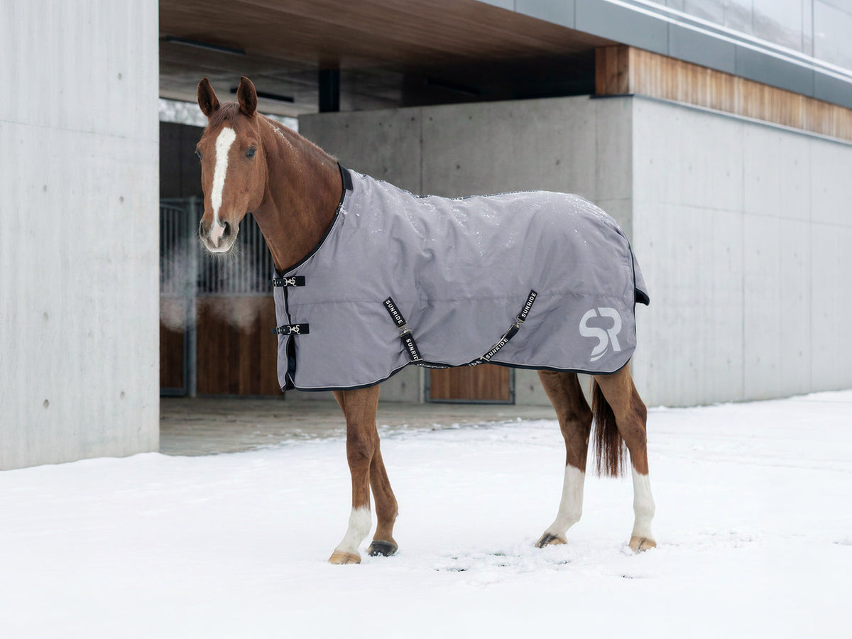 Deckenberater Pferd, welche Pferdedecke braucht Dein Pferd im Winter?