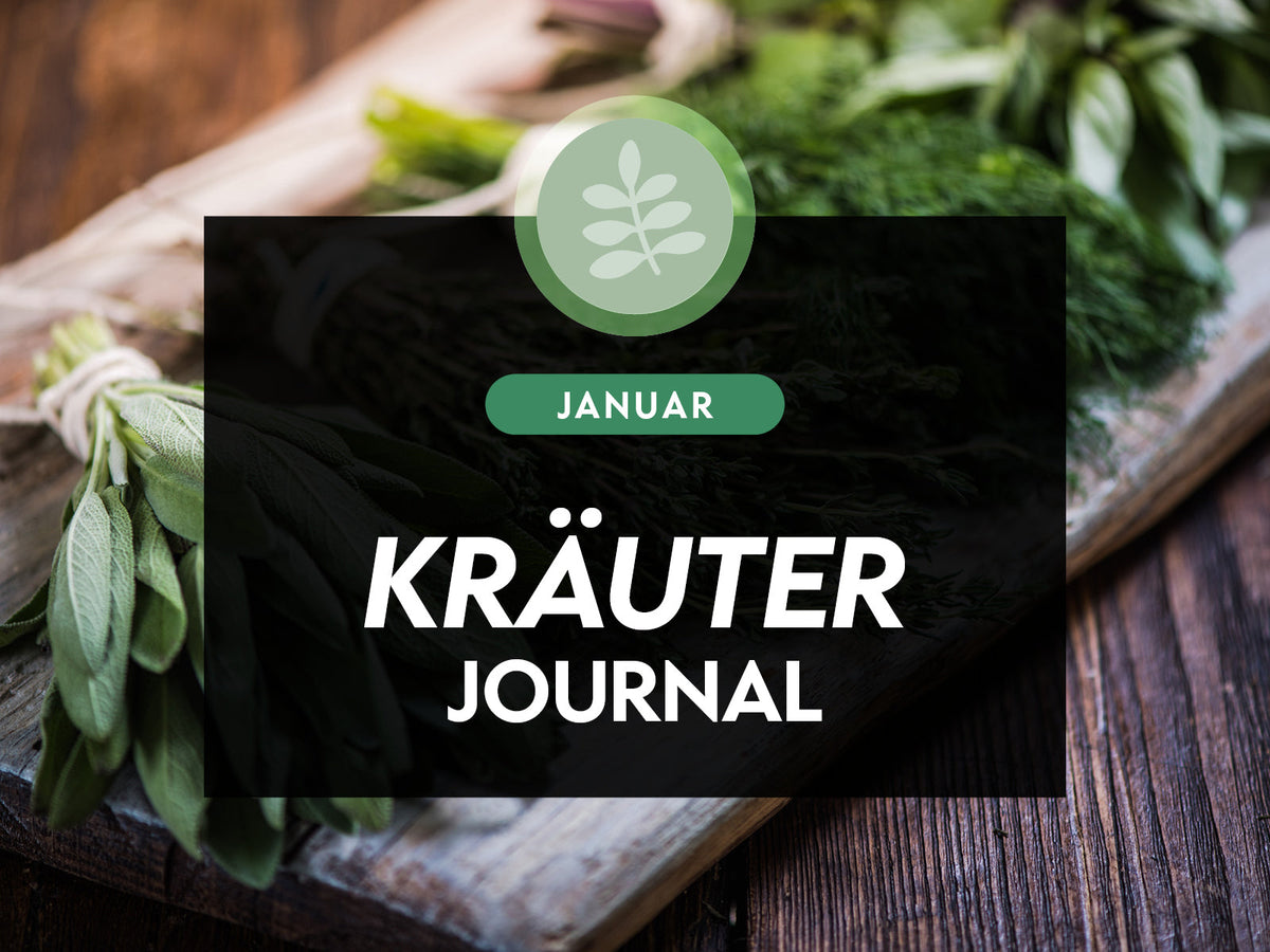 Der Kräuter-Check im Januar, diese Pflanzen sind für Pferde gut oder giftig