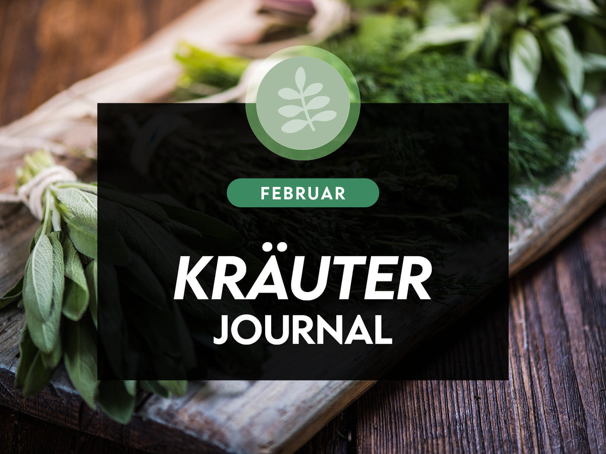 Der Kräuter-Check im Februar, diese Pflanzen sind für Pferde gut oder giftig