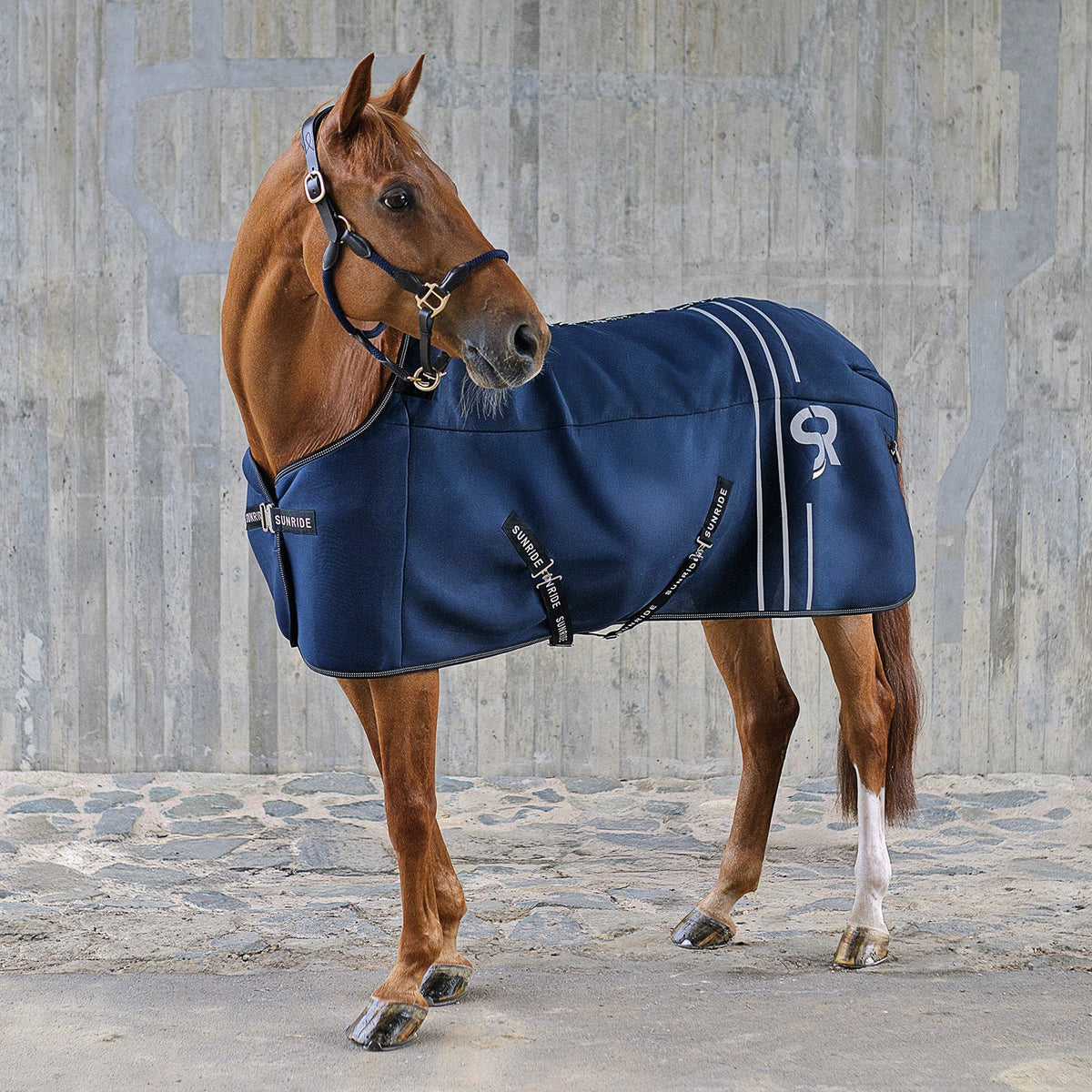 Stalldecken