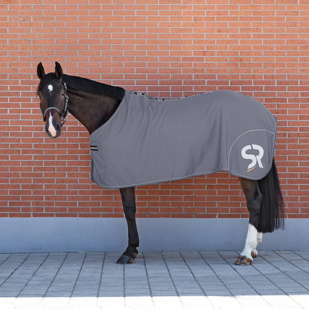Softshell Cooler Rug "Boston"