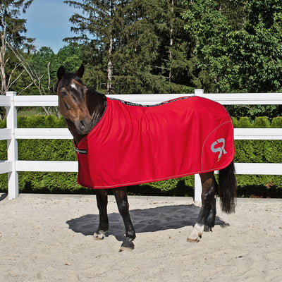 Softshell Cooler Rug "Boston"