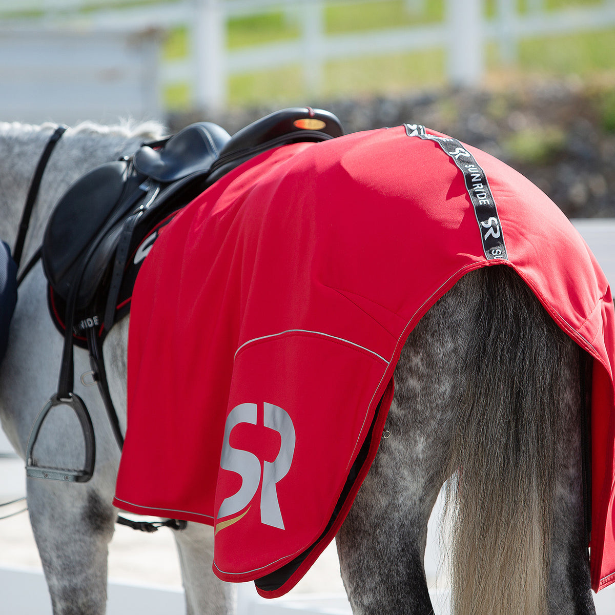 Softshell Cooler Rug "Boston"