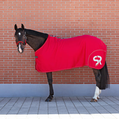 Softshell Cooler Rug "Boston"