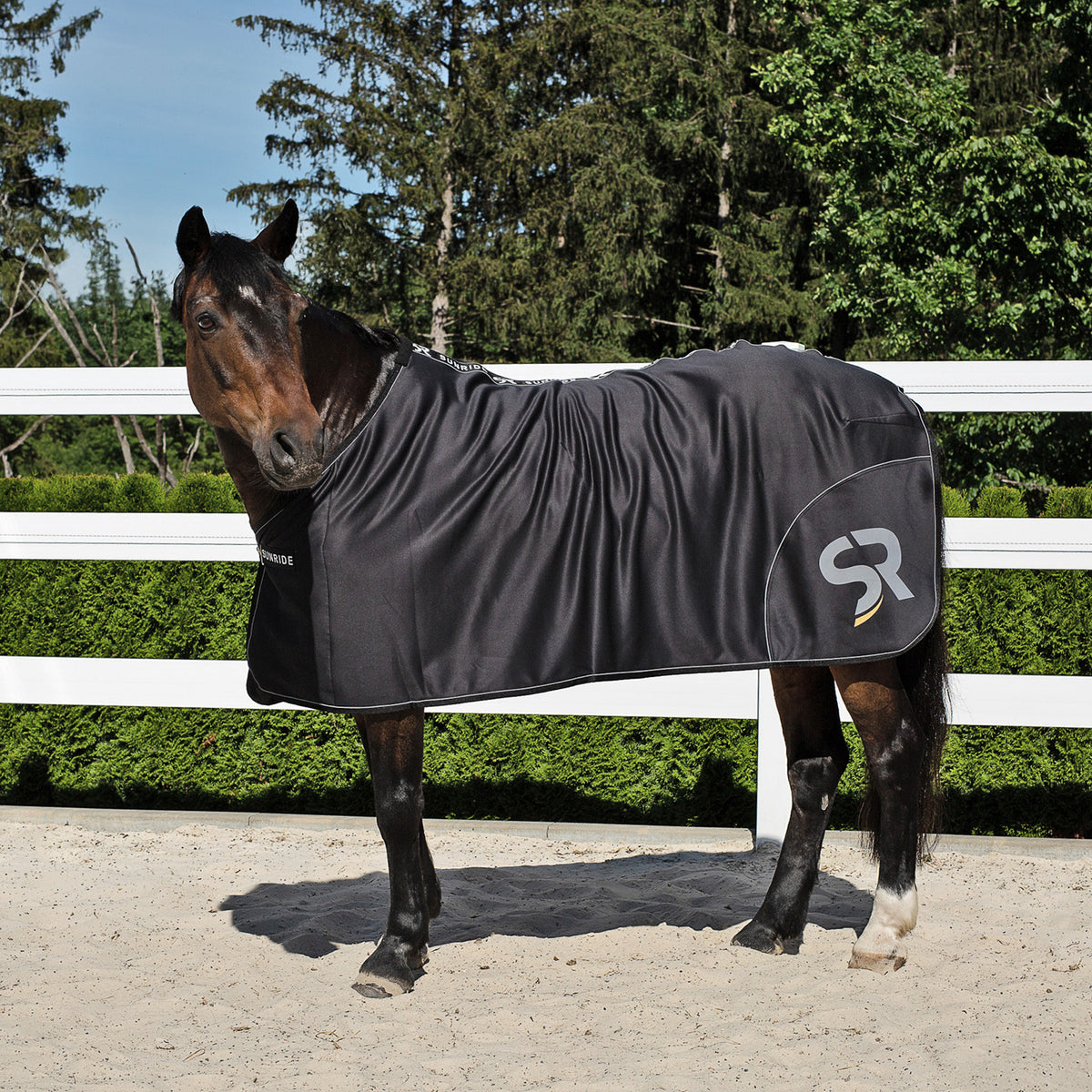 Softshell Cooler Rug "Boston"