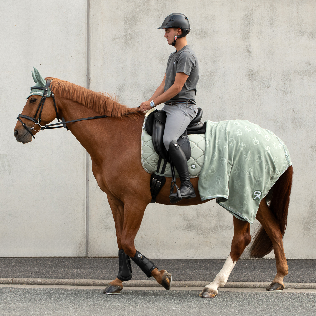 "Wellington Line" dressage (set of 4)