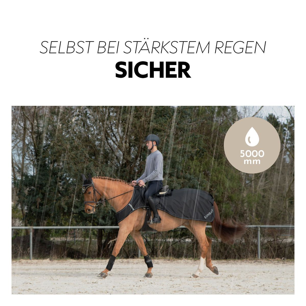 Exercise Sheet / Walking Rug 0g "Derby" (600D)