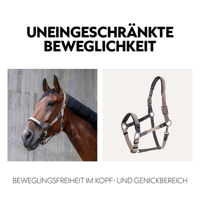 Biothane halter with lead rope