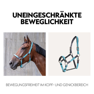 Biothane halter with lead rope