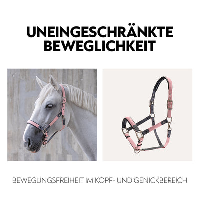 Biothane halter with lead rope