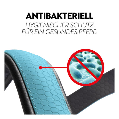 Biothane halter with lead rope